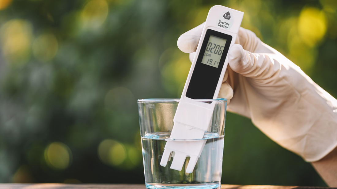 Water Quality Test